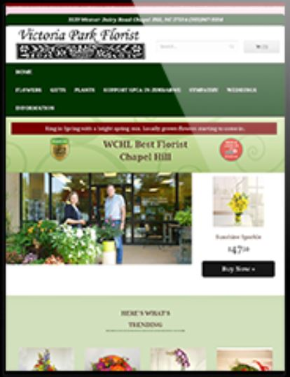 screenshot of Visual Ticket